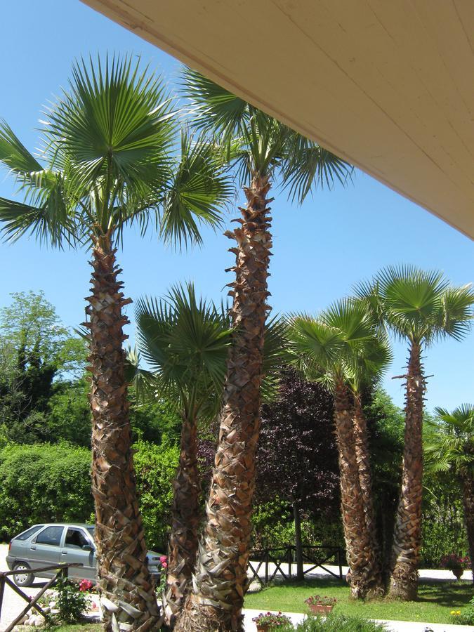 Rosciano  B & B Oasi מראה חיצוני תמונה