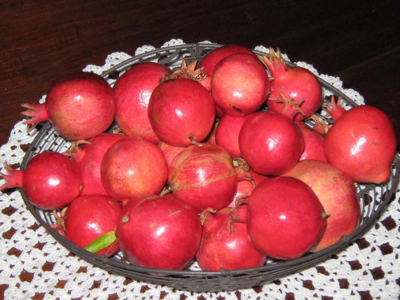 Rosciano  B & B Oasi מראה חיצוני תמונה