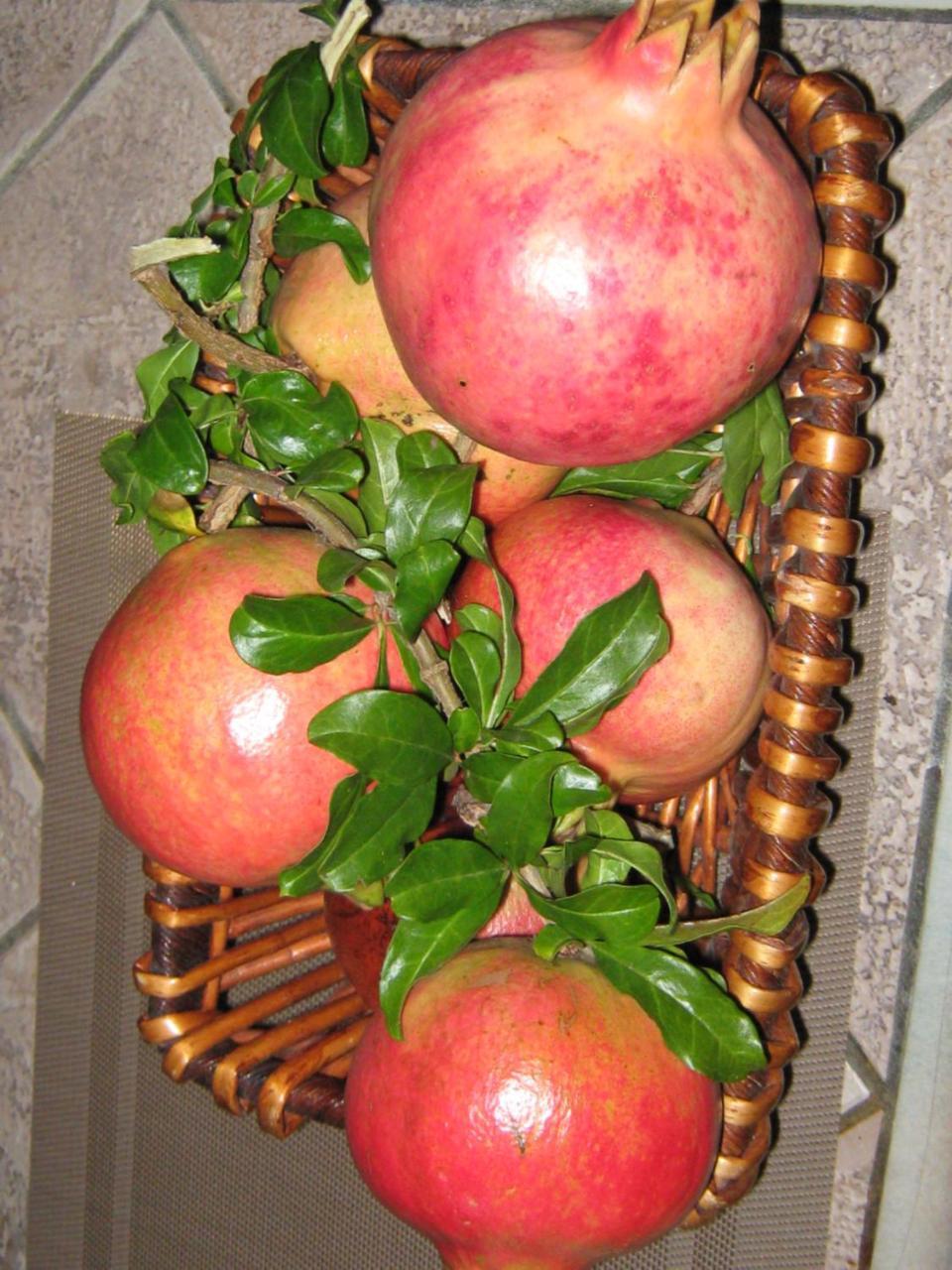 Rosciano  B & B Oasi מראה חיצוני תמונה